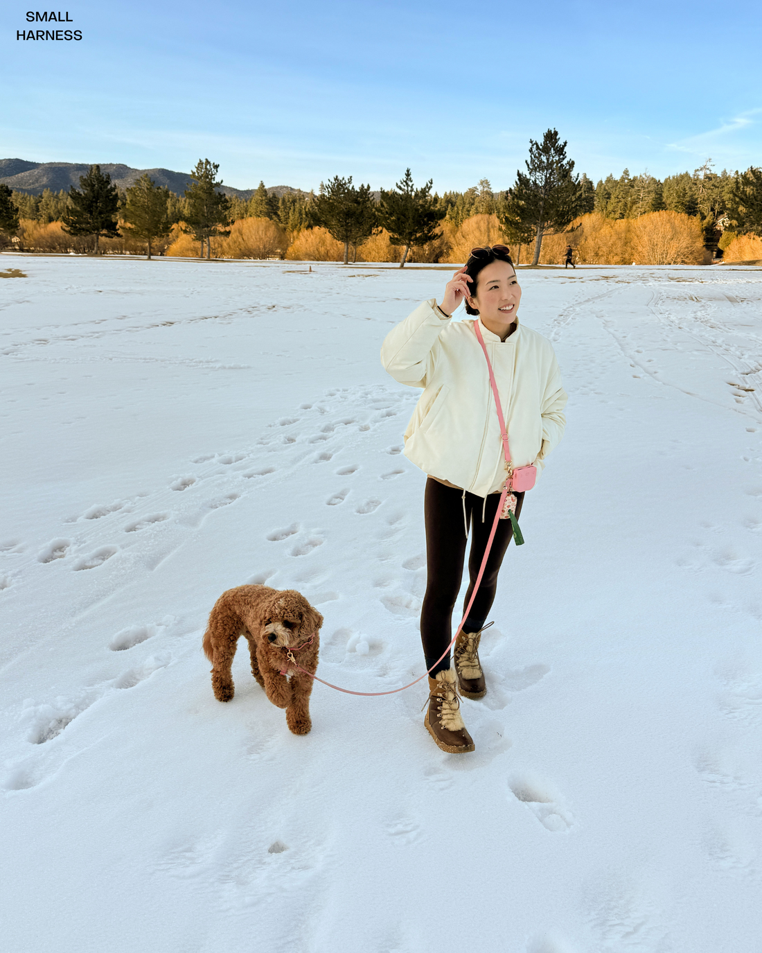 Perfect Pink Cloud Lite Harness Set | Hands Free Leash | No Pull Waterproof Harness | Waste Bag Holder