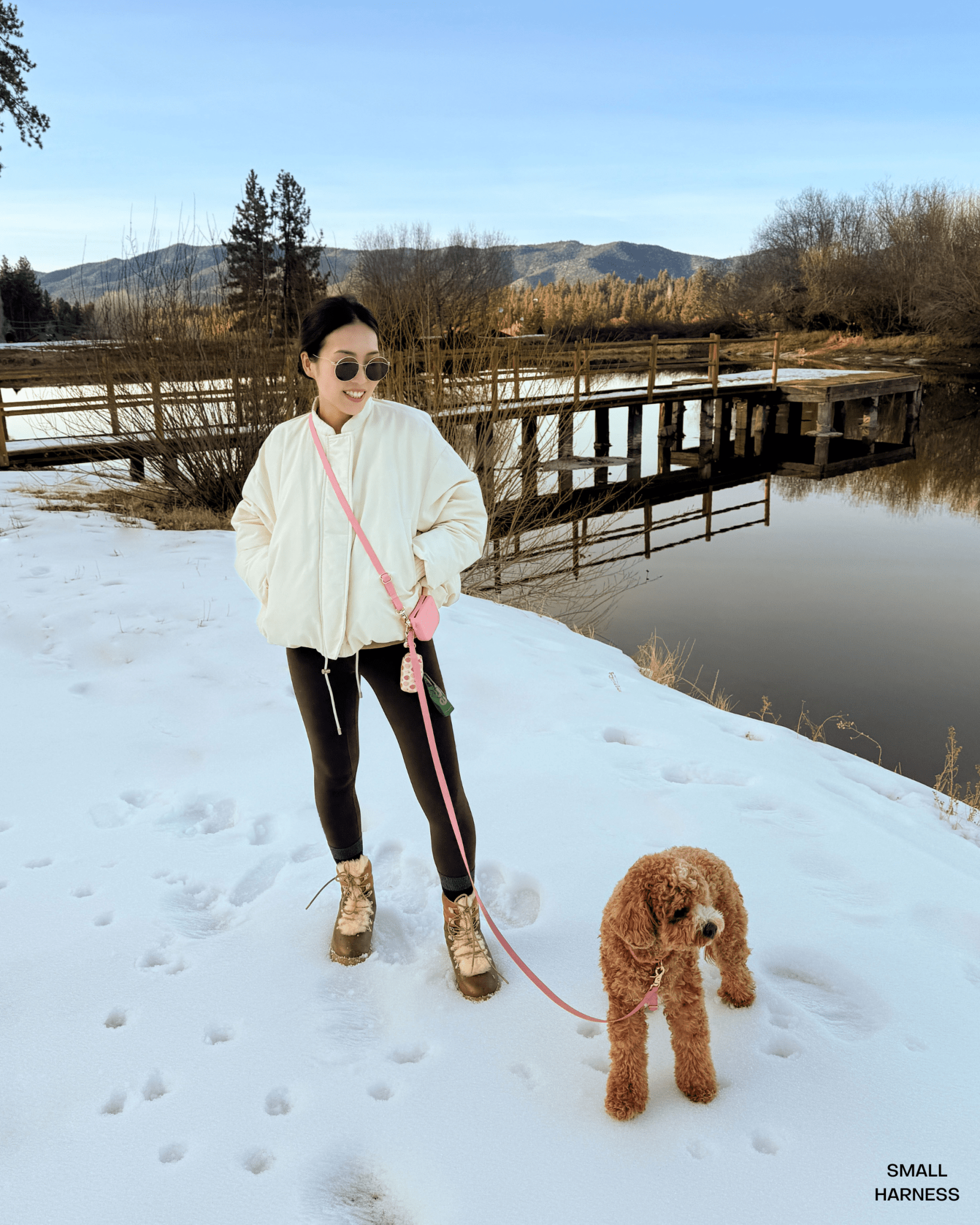 Cloud Lite Dog Harness Bundle - SUNNY TAILS