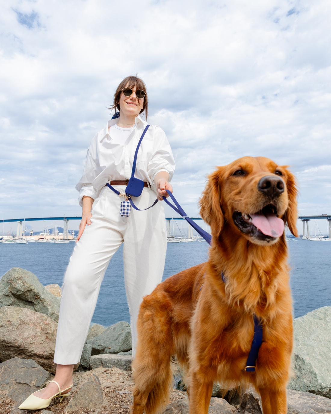 Best Sellers Harness & Treat Pouch Bundle Wide
