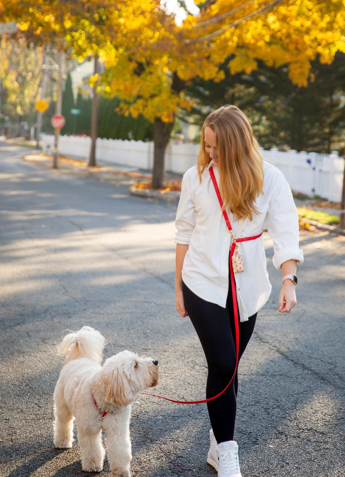 Cherry Red Wide Convertible Hands Free Cloud Dog Leash | Multifunctional, Waterproof, and Lightweight Dog Leash | Shop Sunny Tails