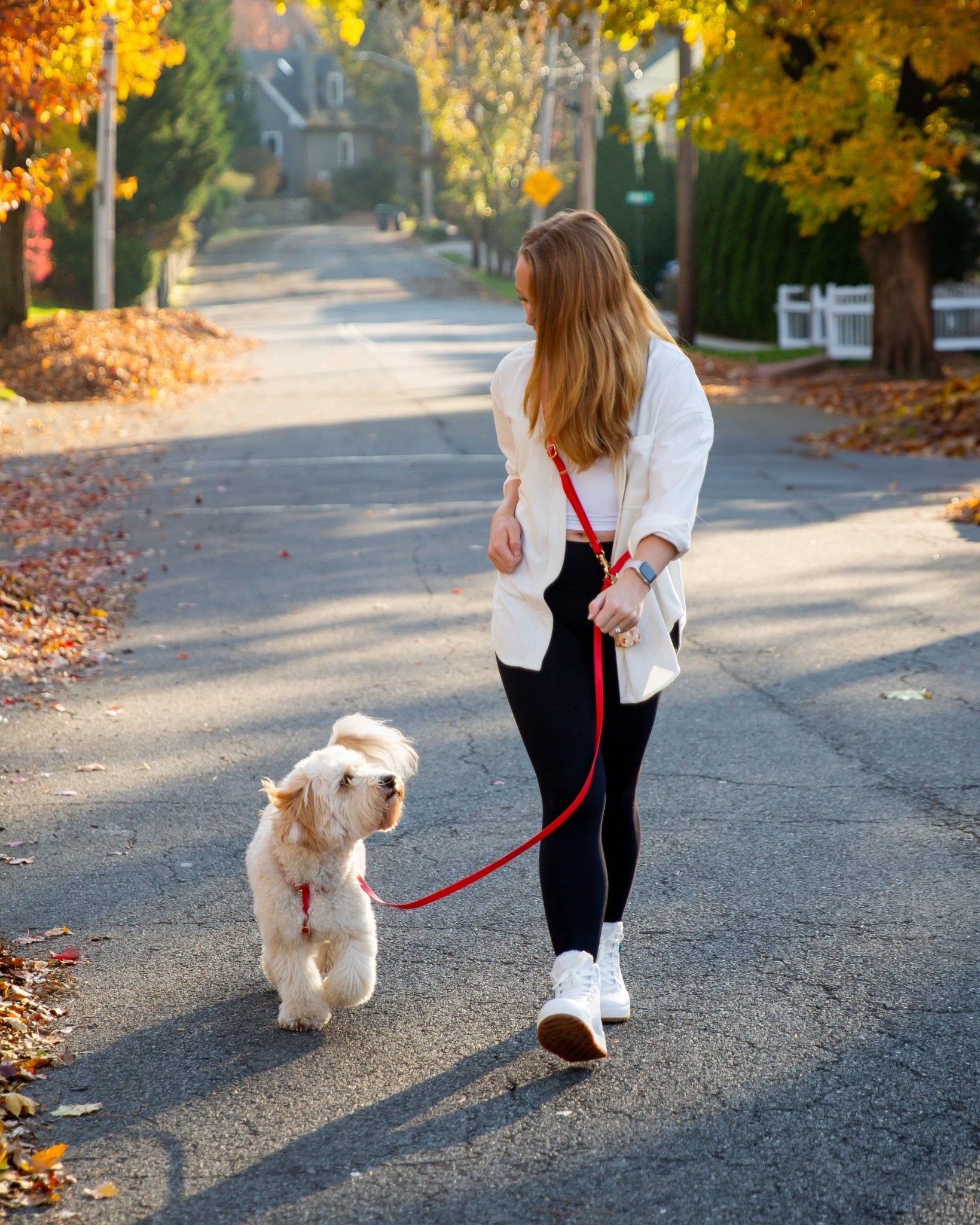 Cloud Leash Extension &amp; Treat Pouch Bundle - SUNNY TAILS