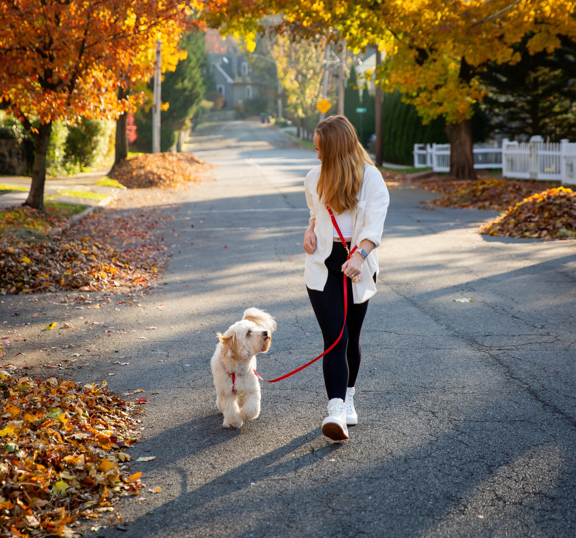 Cherry Red Wide Convertible Hands Free Cloud Dog Leash | Multifunctional, Waterproof, and Lightweight Dog Leash | Shop Sunny Tails