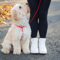 Cherry Red 4-in-1 Wide Convertible Hands Free Cloud Dog Leash 3/4"