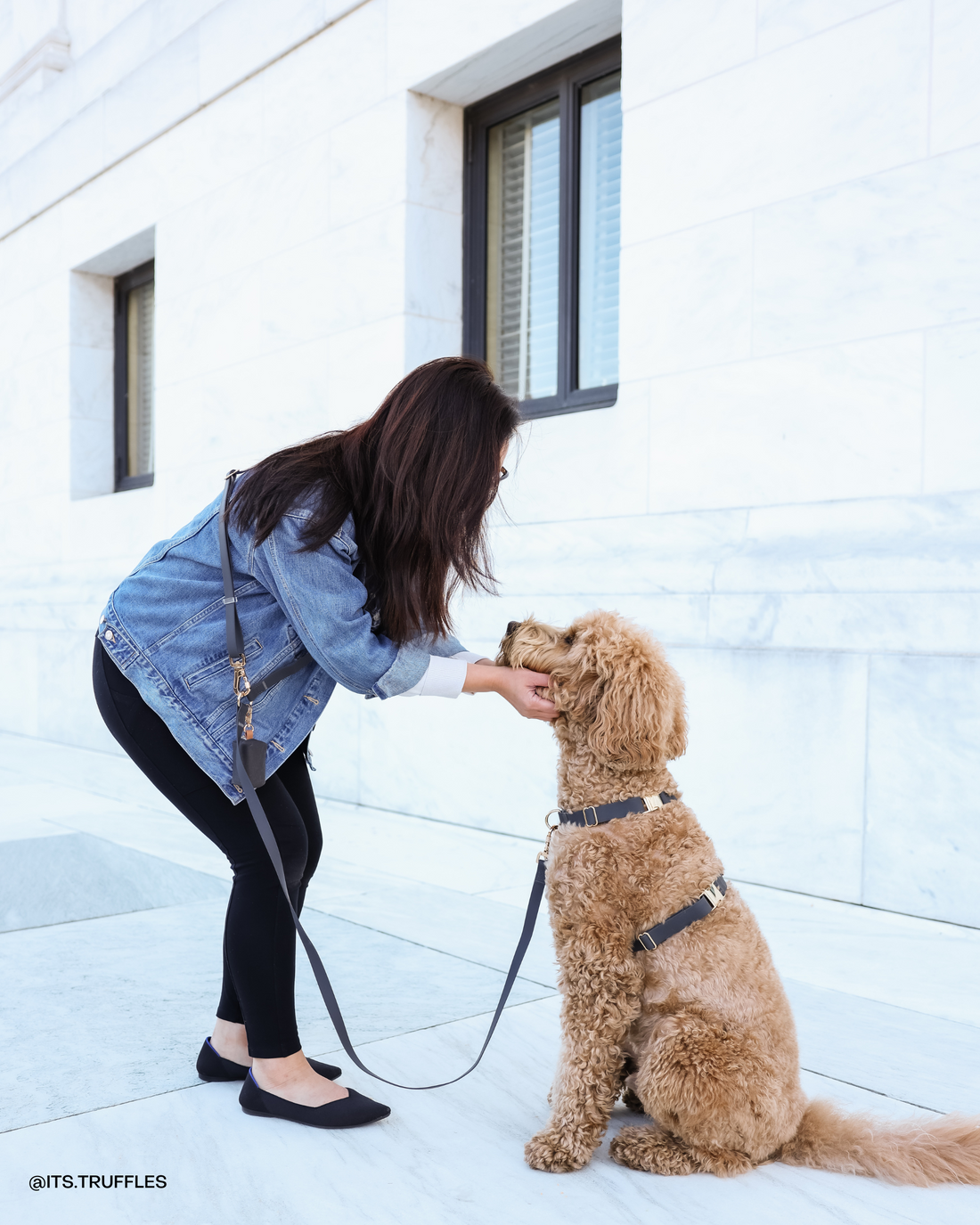 Ember Black Cloud Lite Dog Harness