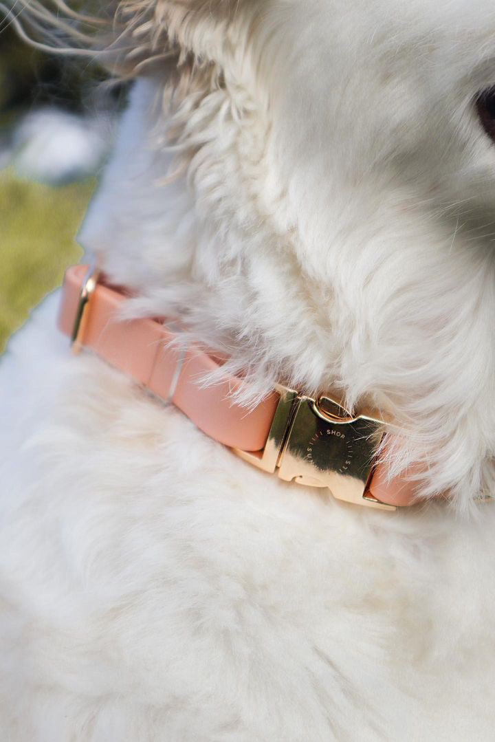 Peach Waterproof Dog Collar