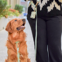 Pistachio Green 4-in-1 Wide Convertible Hands Free Cloud Dog Leash