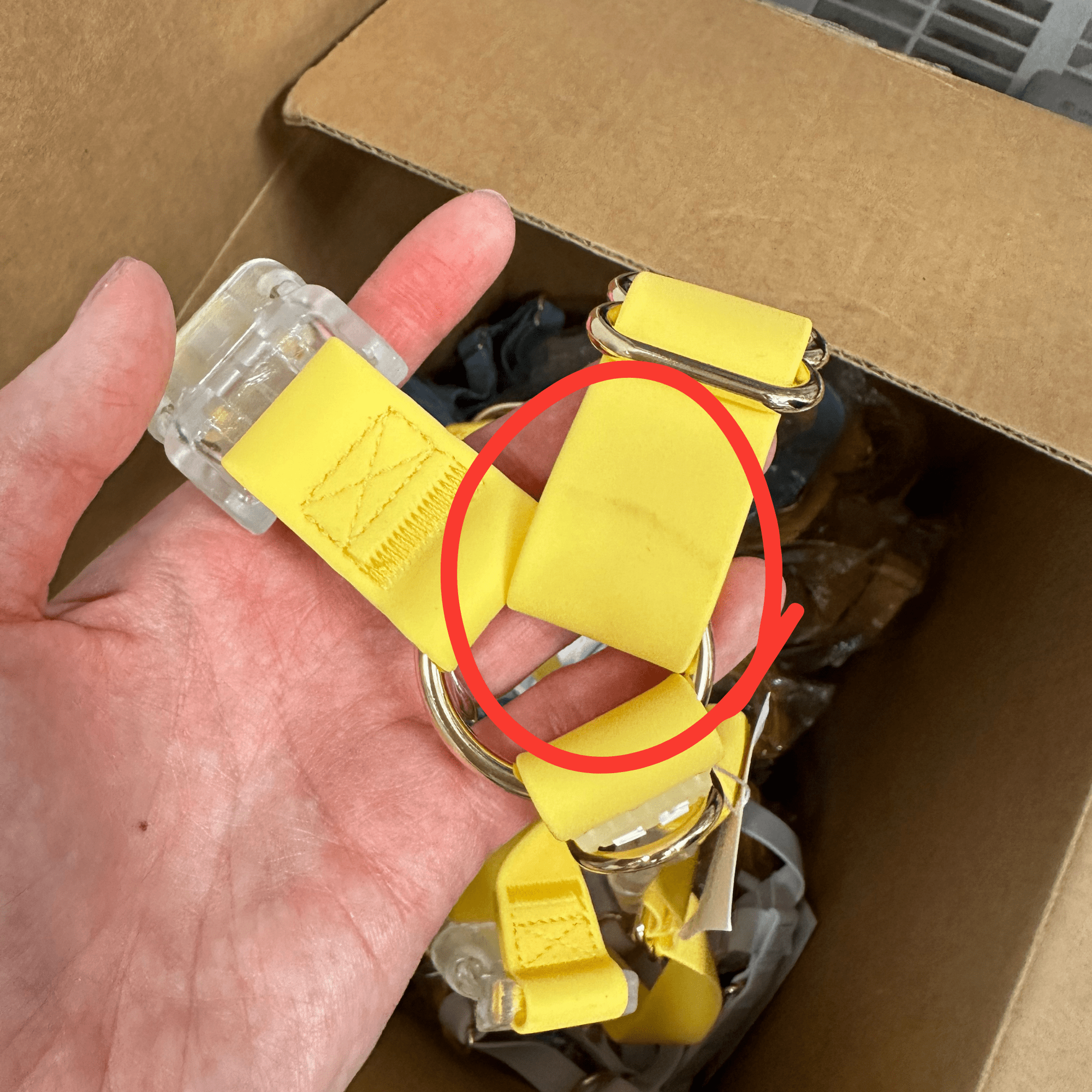 Mystery Imperfect Waterproof Dog Collar (FINAL SALE) - SUNNY TAILS