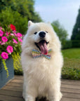 Rainbow Gingham Dog Bow Tie
