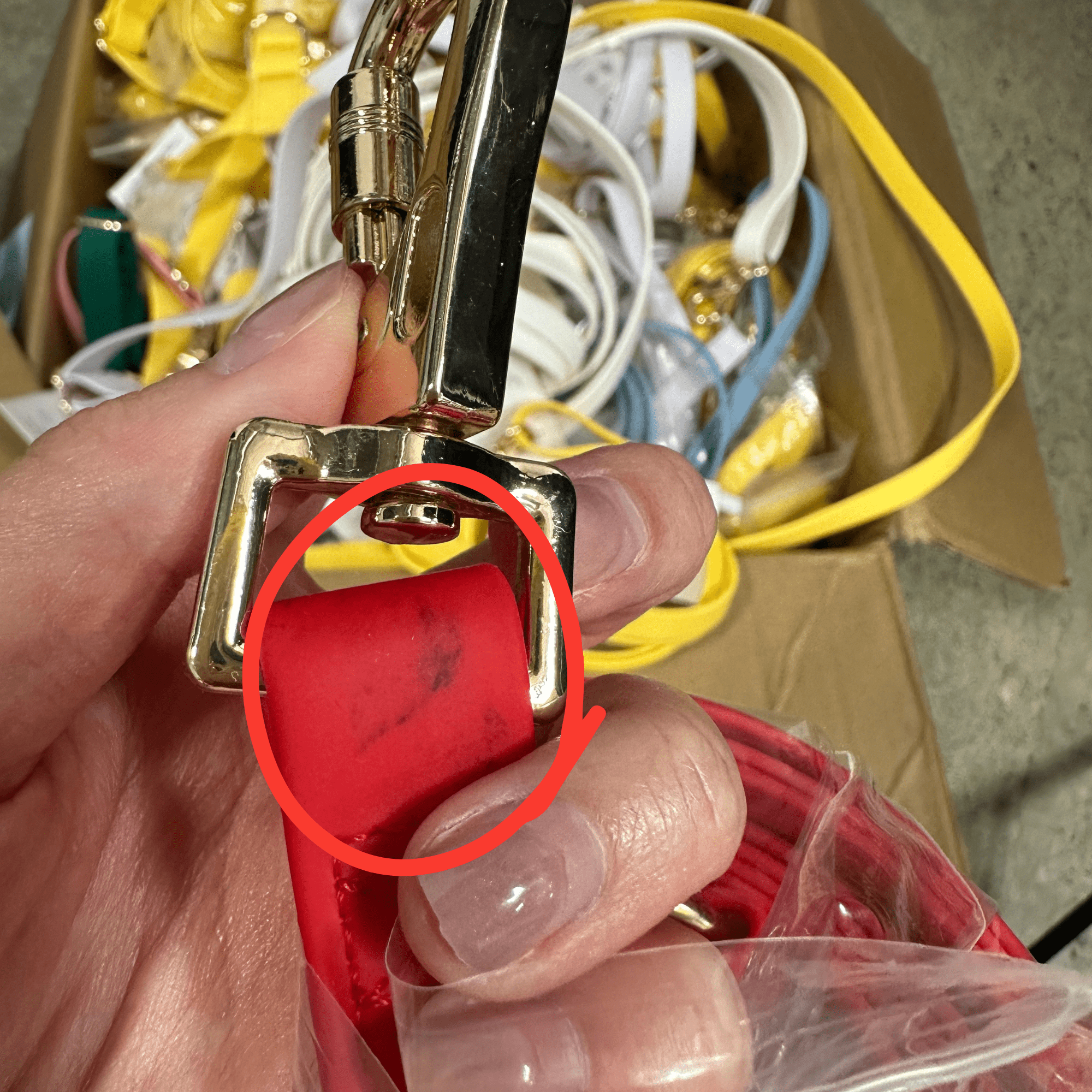 Mystery Imperfect Waterproof Dog Collar (FINAL SALE) - SUNNY TAILS