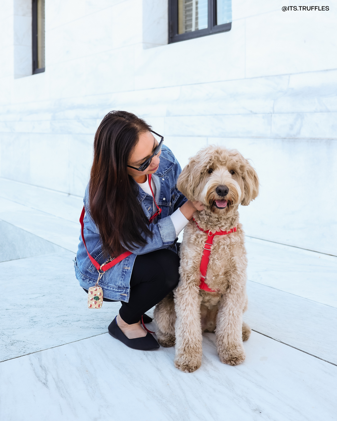 Cherry Red Cloud Lite Dog Harness