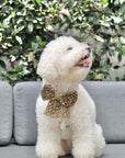 Autumn Florals Corduroy Dog Sailor Bow