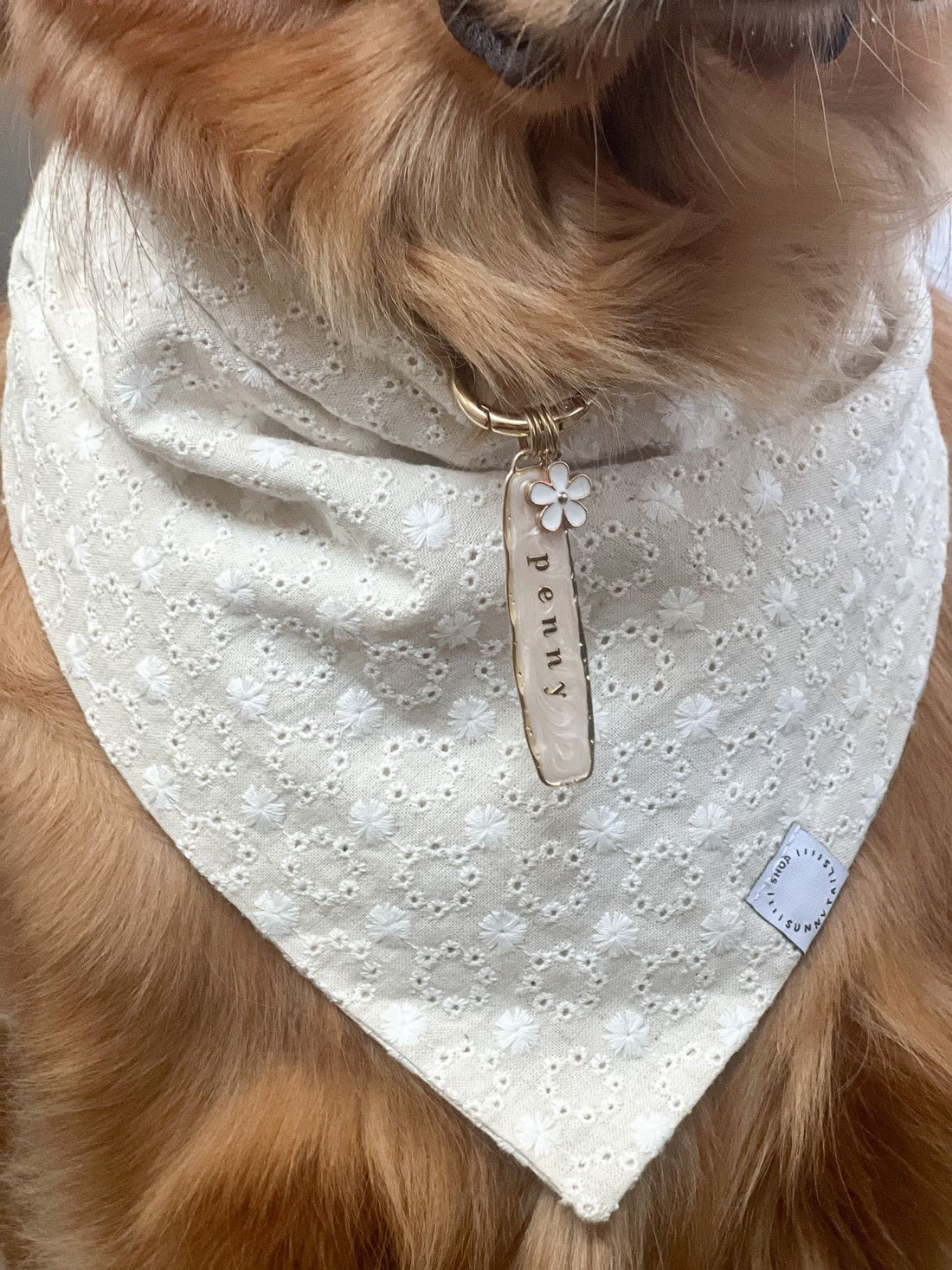 Eyelet Daisies Dog Bandana