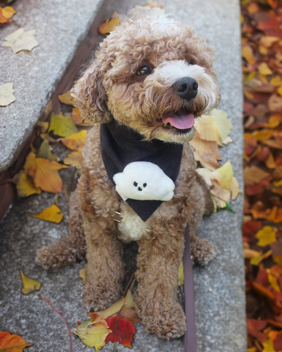 Boo! Ghost Dog Bandana