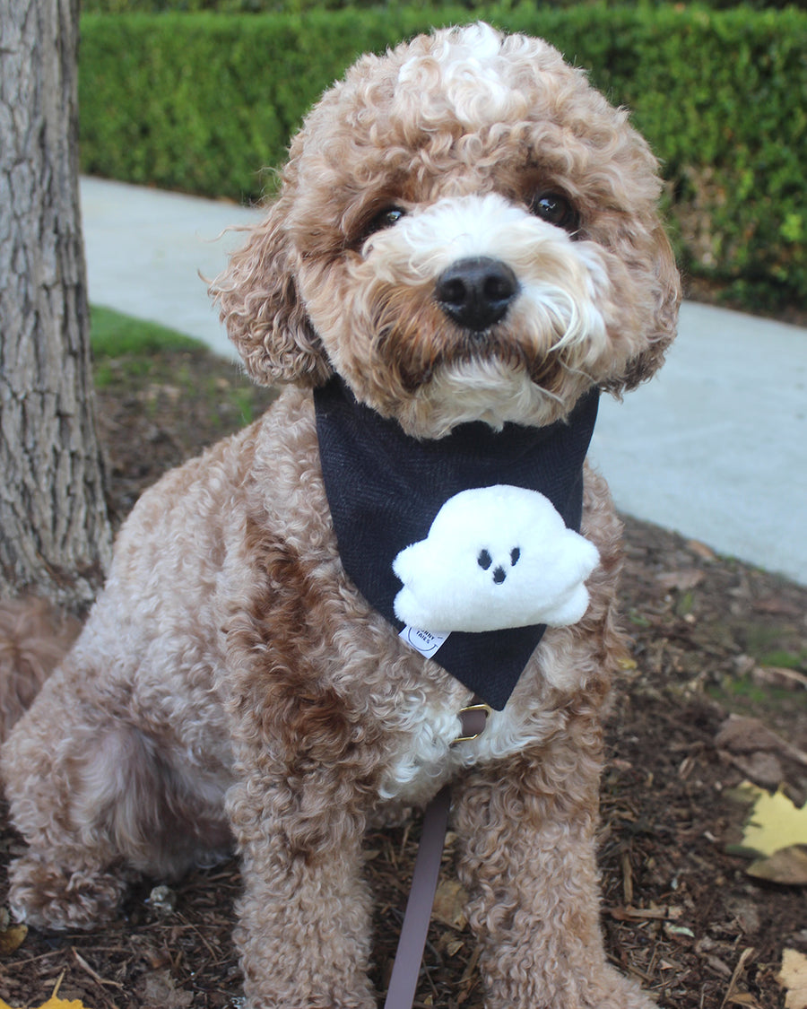 Boo! Ghost Dog Bandana