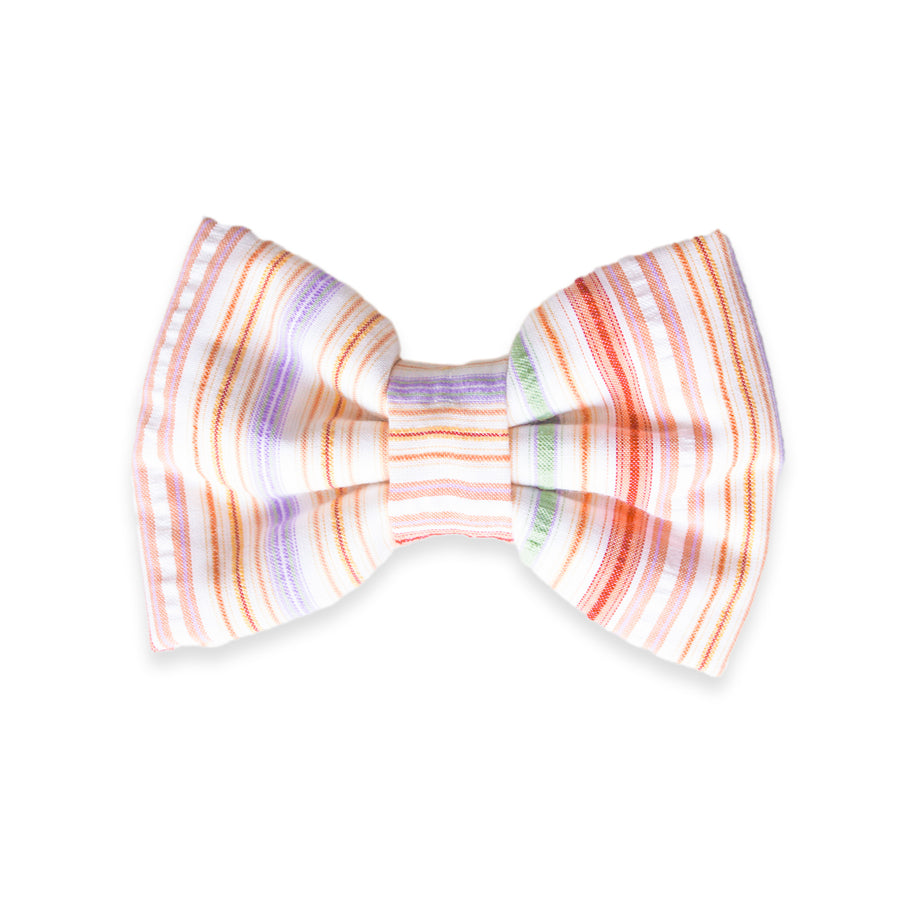 Sherbet Dog Bow Tie | Summer Snap Over Collar Bow Tie | Shop Sunny Tails