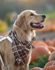 Cozy Cabin Flannel Frayed Dog Bandana - SUNNY TAILS
