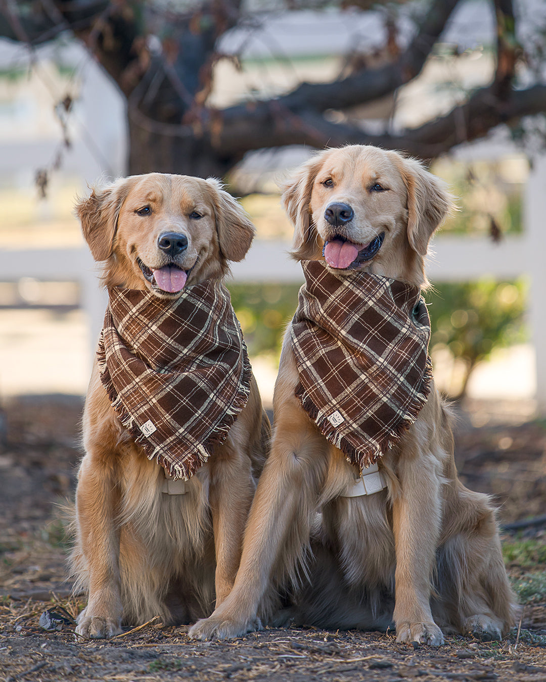 Cozy Cabin Flannel Frayed Dog Bandana