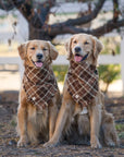 Cozy Cabin Flannel Frayed Dog Bandana - SUNNY TAILS