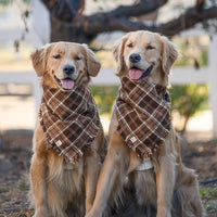 Cozy Cabin Flannel Frayed Dog Bandana