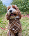 Cozy Cabin Flannel Frayed Dog Bandana - SUNNY TAILS