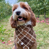 Cozy Cabin Flannel Frayed Dog Bandana