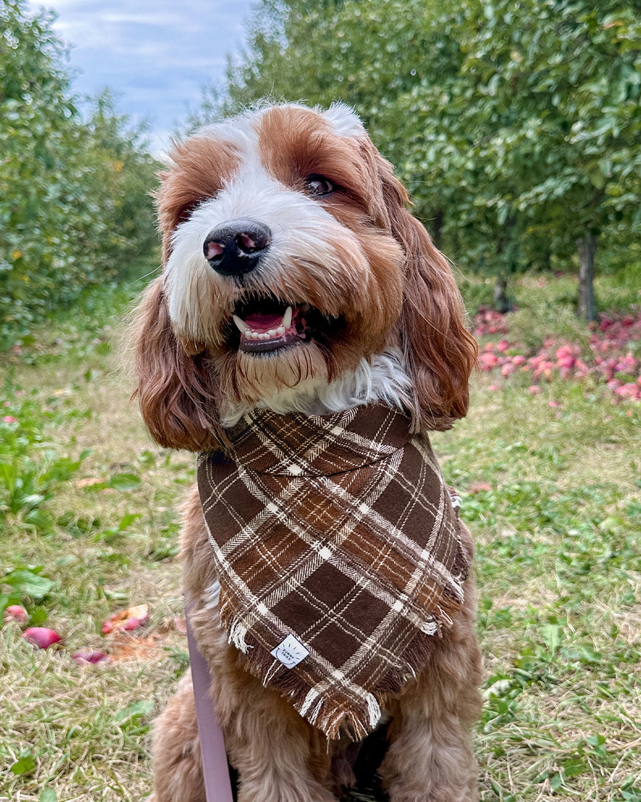 Cozy Cabin Flannel Frayed Dog Bandana