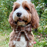 Cozy Cabin Flannel Dog Sailor Bow