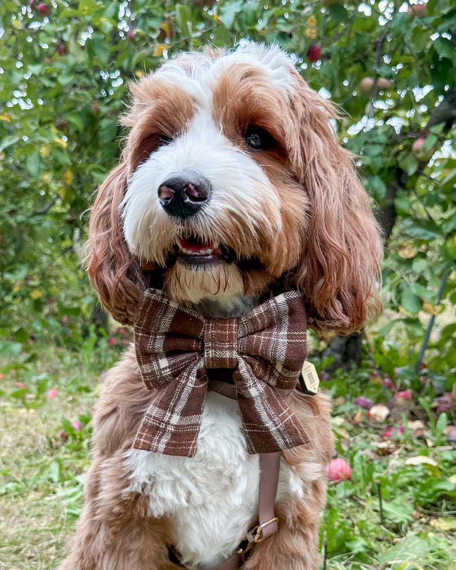 Cozy Cabin Flannel Dog Sailor Bow