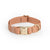 Chai Brown Waterproof Dog Collar - SUNNY TAILS