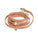 Chai Brown 4 - in - 1 Convertible Hands Free Cloud Dog Leash - SUNNY TAILS