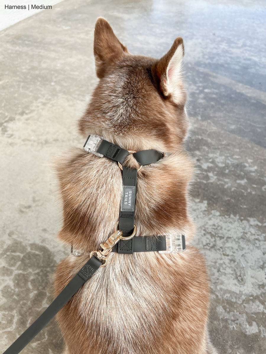 Ember Black Wide Cloud Lite Dog Harness Bundle 3/4"