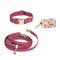 Cloud Dog Collar Bundle - SUNNY TAILS
