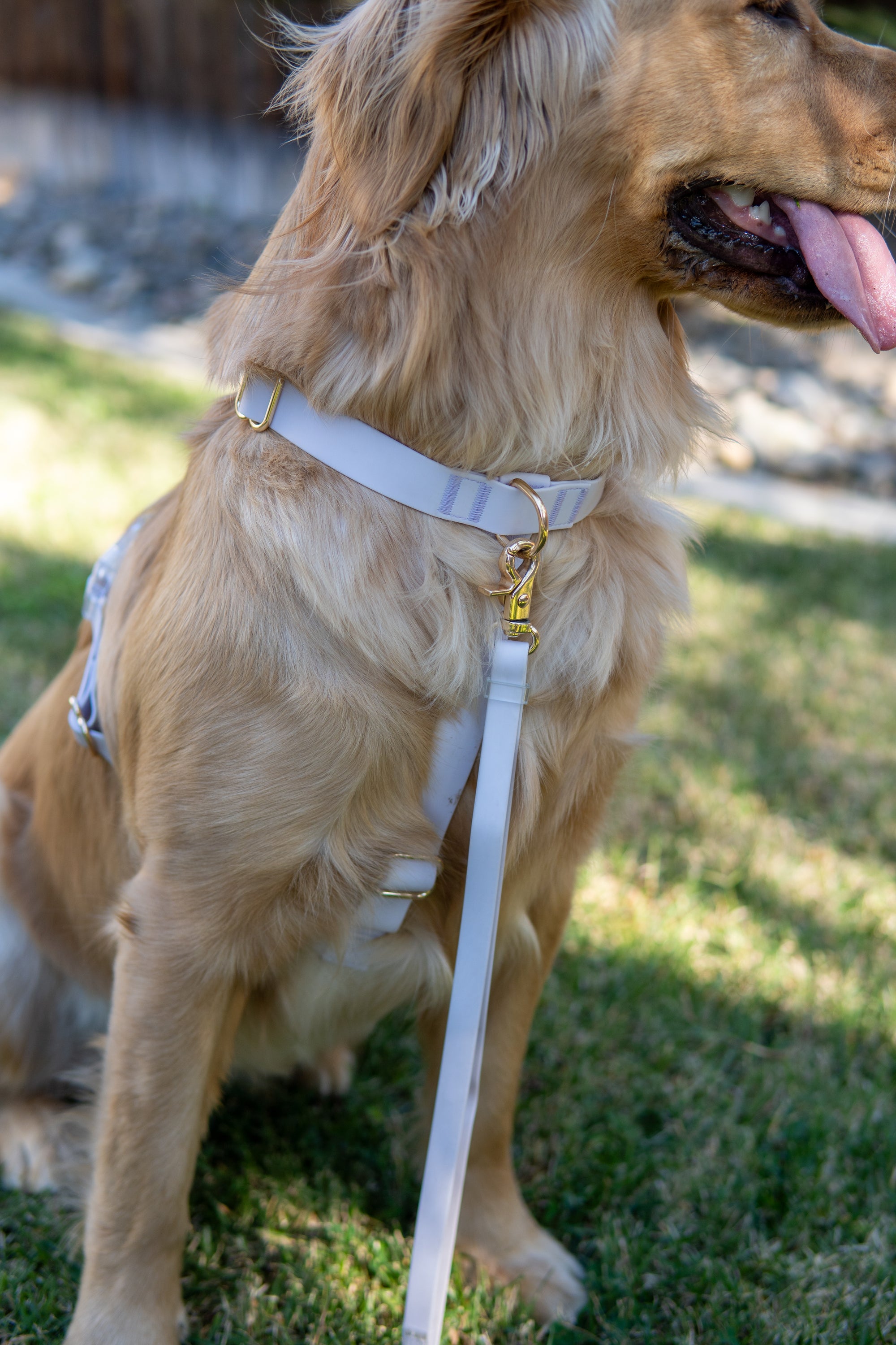 Lavender Haze Cloud Lite Dog Harness