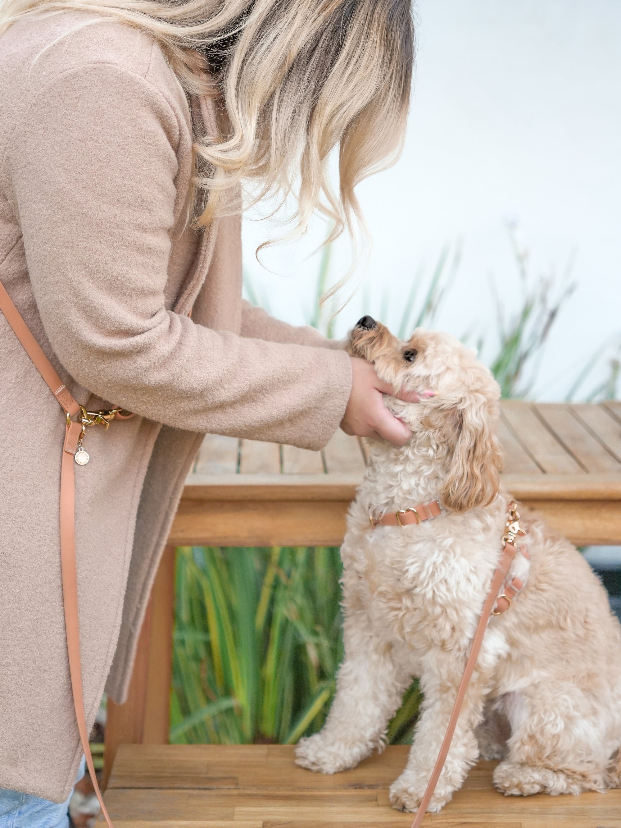 Chai Brown Convertible Hands Free Cloud Dog Leash | Multifunctional, Waterproof, and Lightweight Dog Leash | Shop Sunny Tails