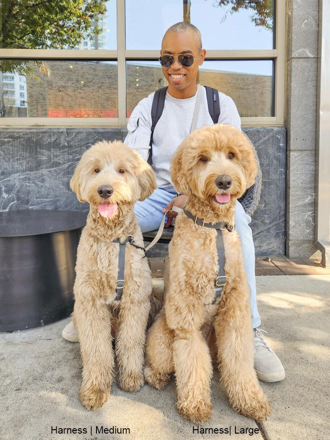 Cloud Lite Dog Harness Bundle Wide