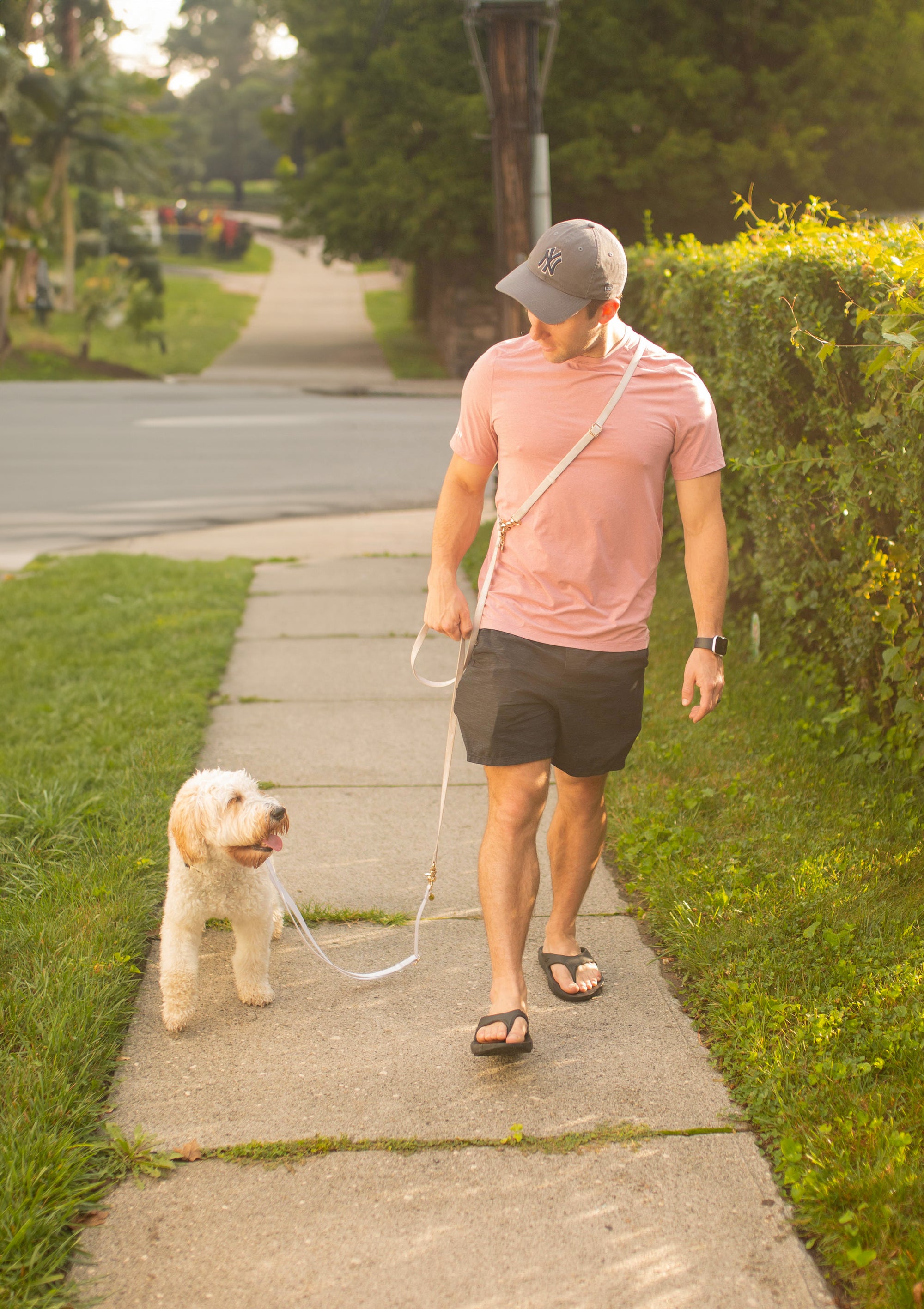 Lavender Haze Cloud Leash 4-Way Extension | Leash Connector | Extend Leash, Walk 2 Dogs, or Add a Traffic Handle