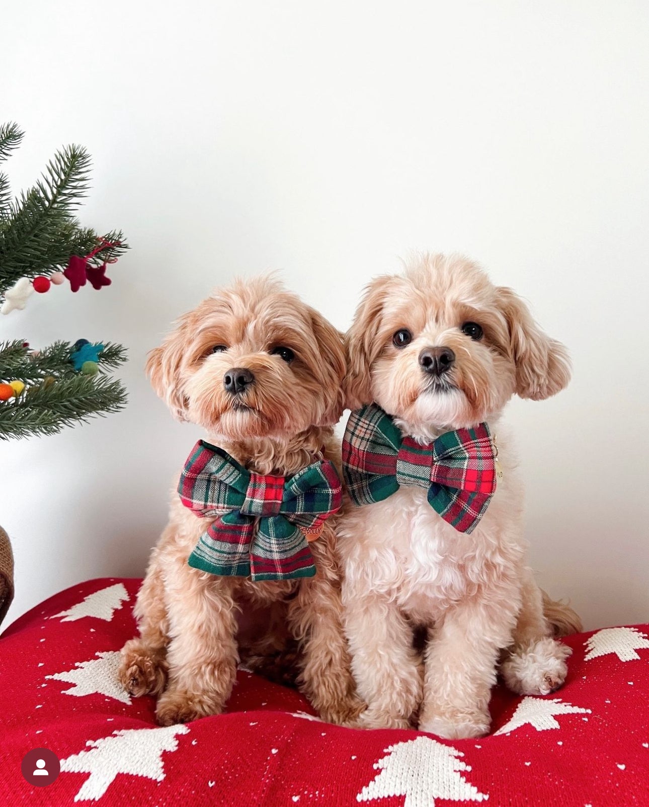 Green Tartan Flannel Dog Sailor Bow - SUNNY TAILS