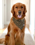 Autumn Florals Corduroy Dog Bandana - SUNNY TAILS