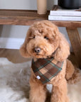 Mint Choco Plaid Flannel Dog Bandana - SUNNY TAILS