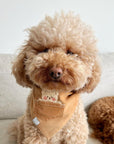 Caramel Corduroy Pocket Teddy Vol. 2 Dog Bandana - Beige - SUNNY TAILS