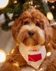 Sherpa Stocking Teddy Bandana - Beige - SUNNY TAILS
