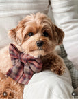 Woodland Wander Plaid Dog Sailor Bow