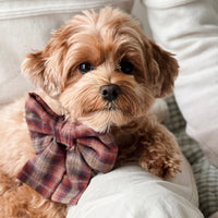 Woodland Wander Plaid Dog Sailor Bow