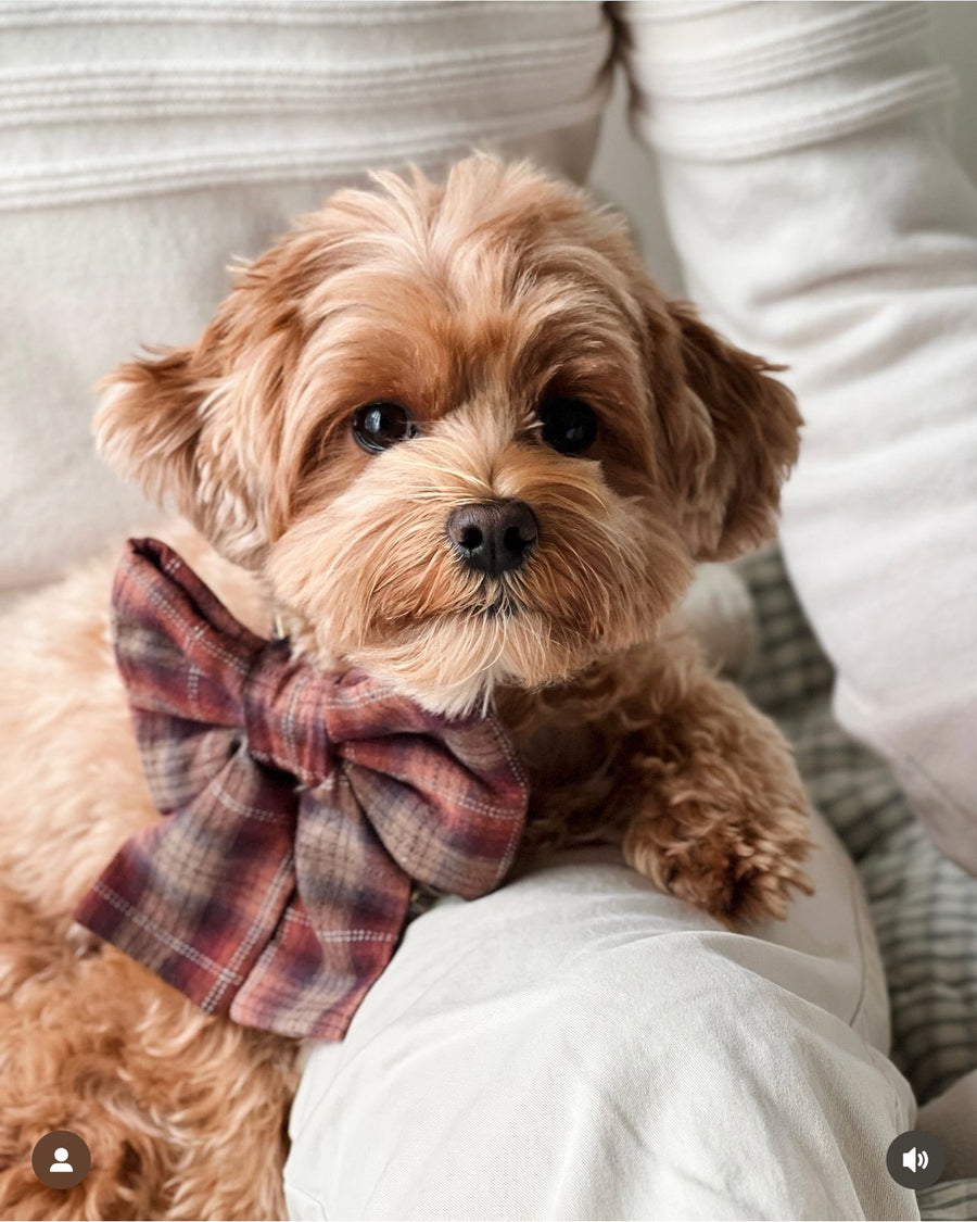 Woodland Wander Plaid Dog Sailor Bow