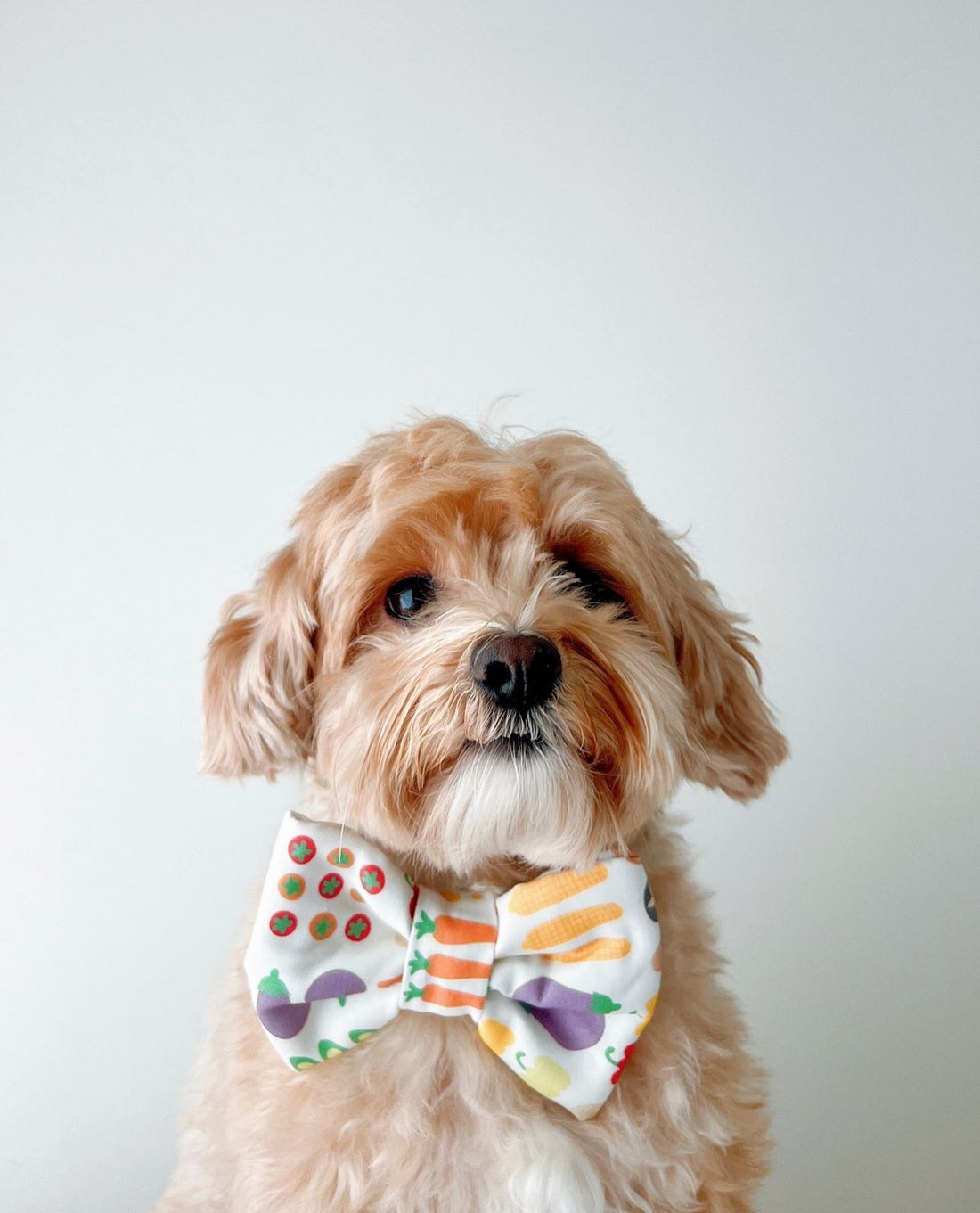 Farmers Market Dog Bow Tie