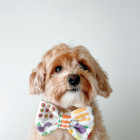 Farmers Market Dog Bow Tie