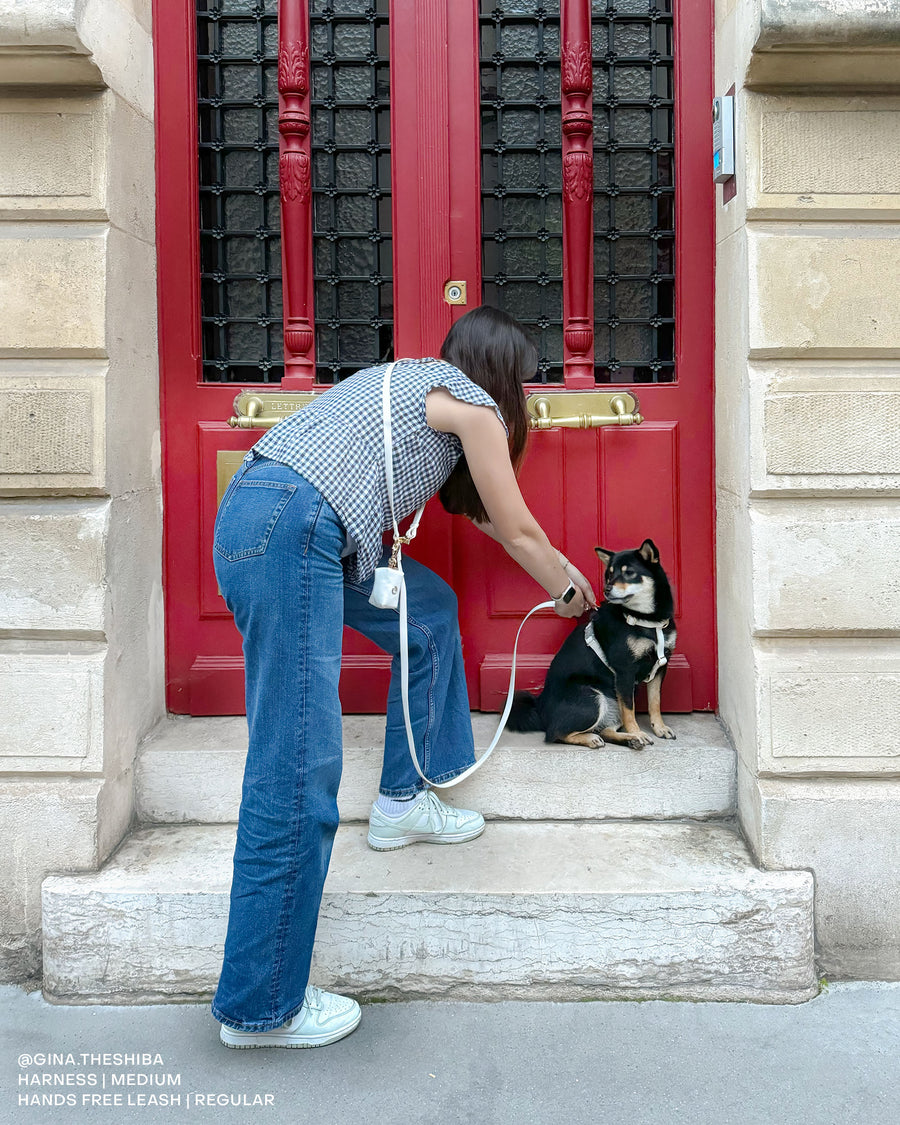 Cloud White Convertible Hands Free Cloud Dog Leash | Multifunctional, Waterproof, and Lightweight Dog Leash | Shop Sunny Tails