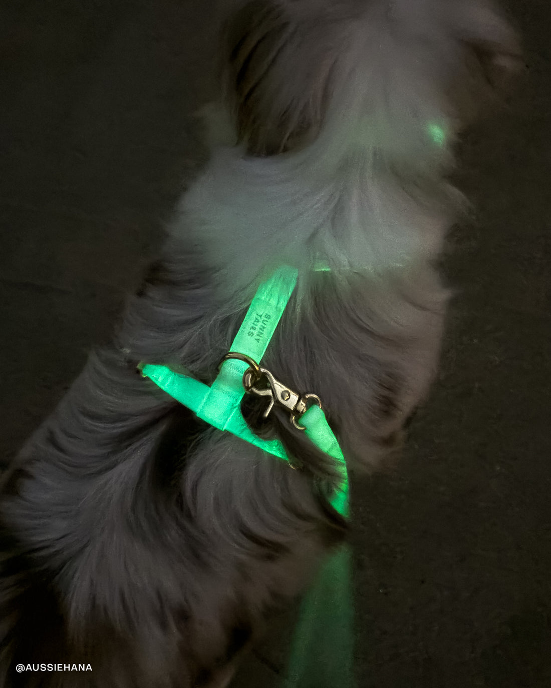 Lunar Glow Dog Harness and Collar Bundle Wide