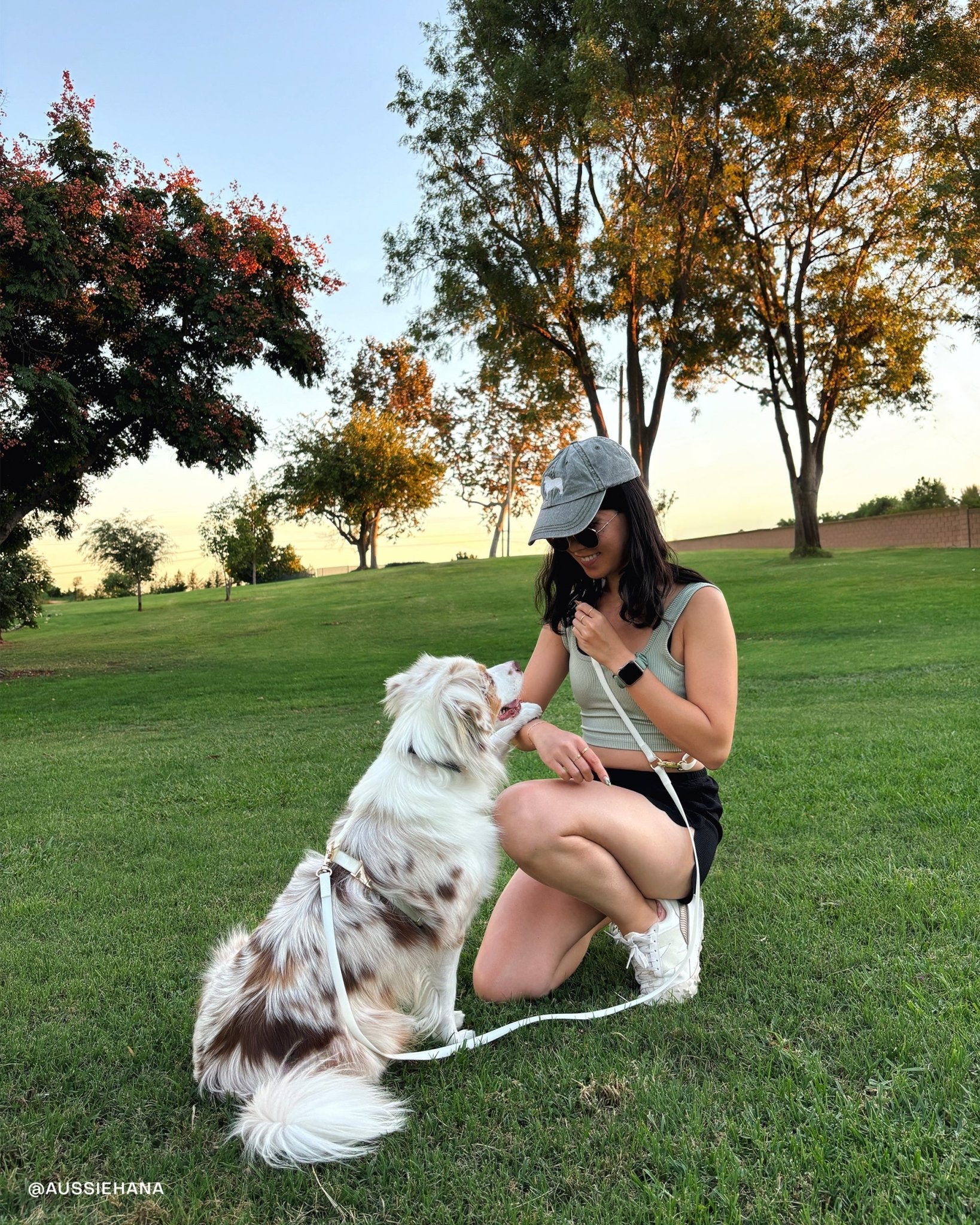 Lunar Glow Dog Harness, Collar, &amp; Treat Pouch Bundle - SUNNY TAILS