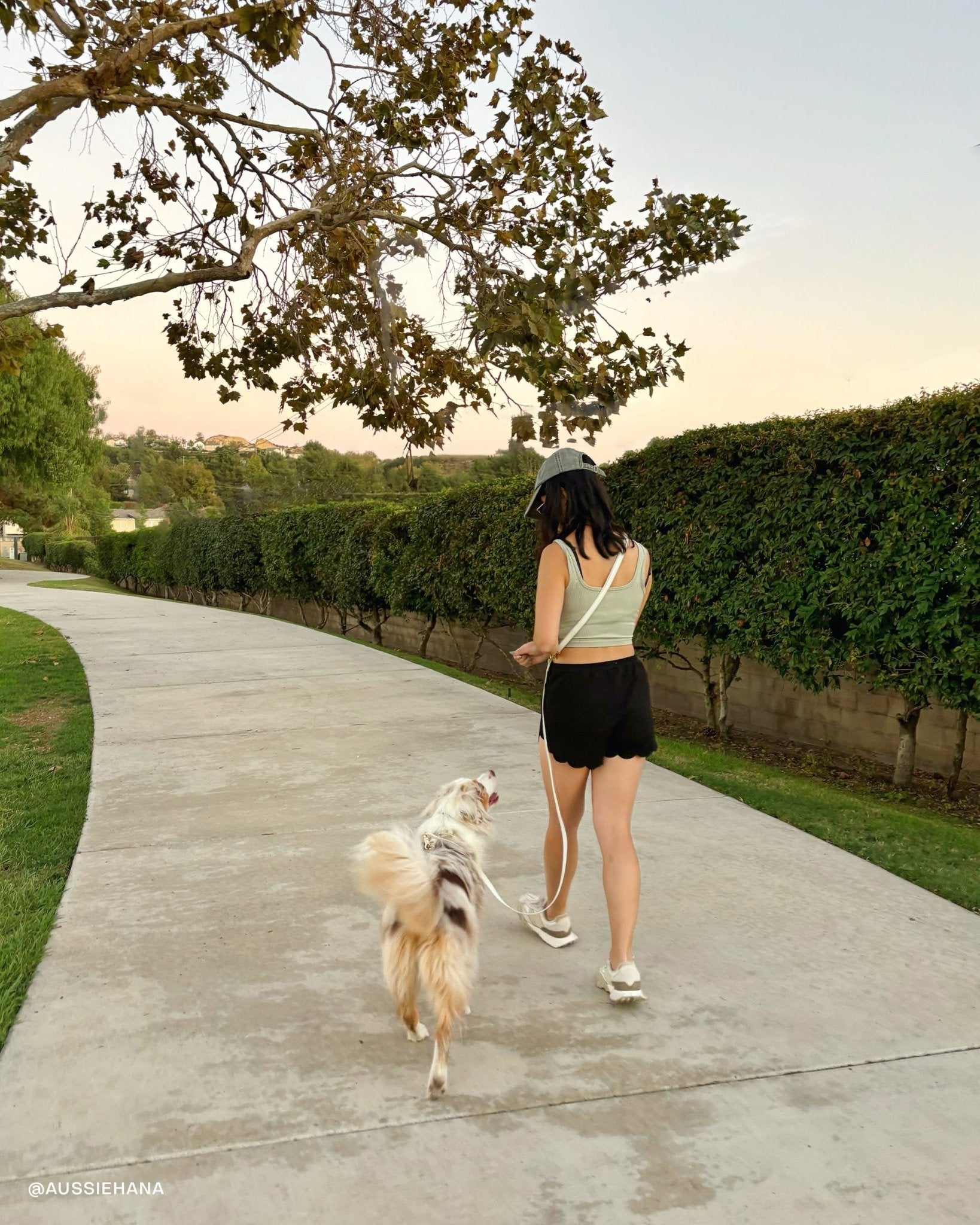 Lunar Glow Dog Harness and Collar Bundle Wide - SUNNY TAILS